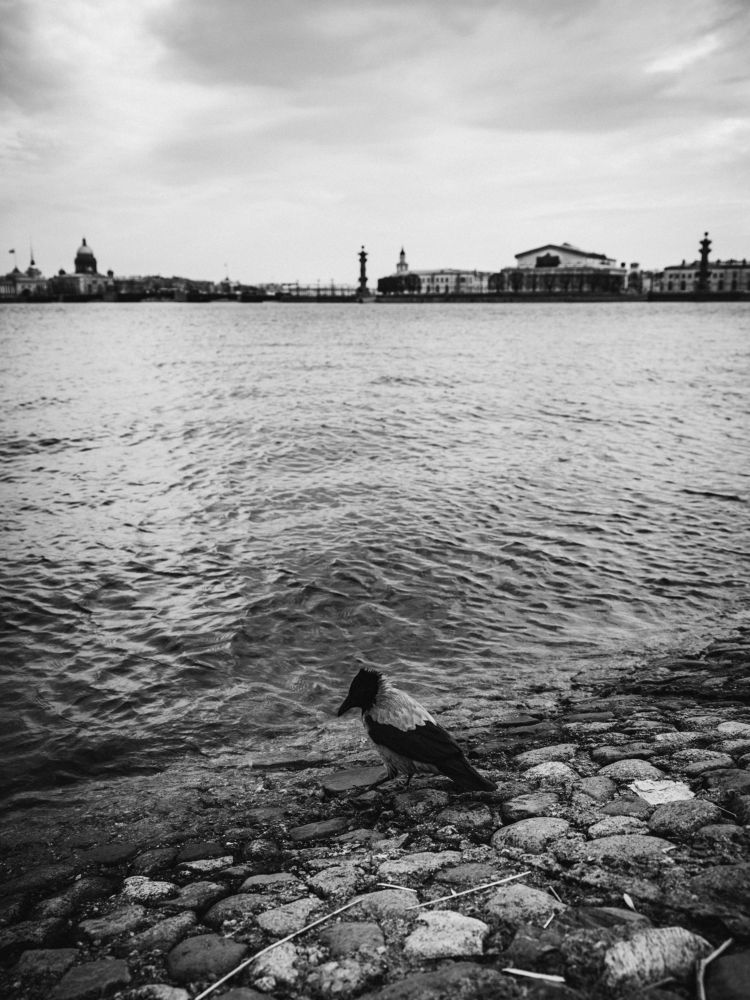 Photograph by Игорь Тимофеев
