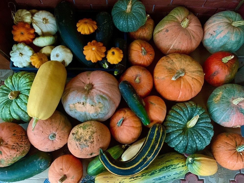 Урожай 2022 года.