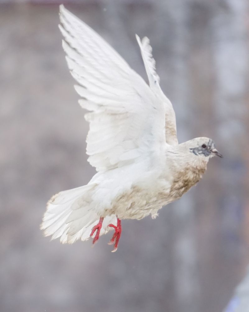 Photograph by Высотских Владимир