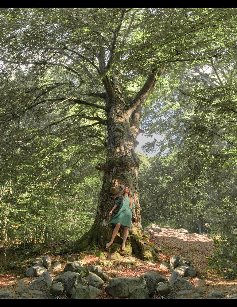 Photograph by Войлокова Taтьяна