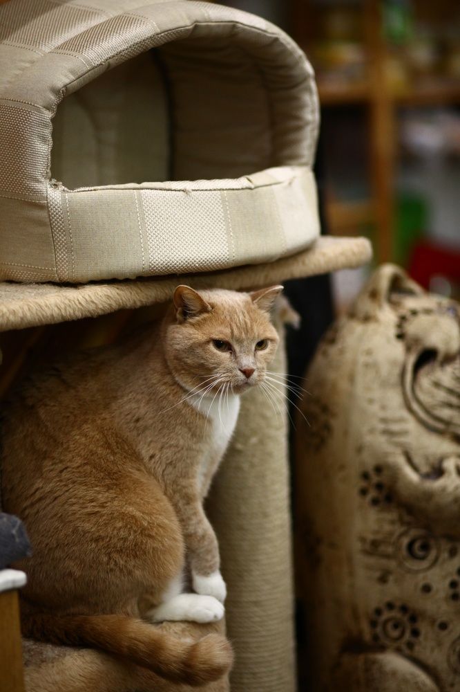 Photograph by Бальзирова Наталья