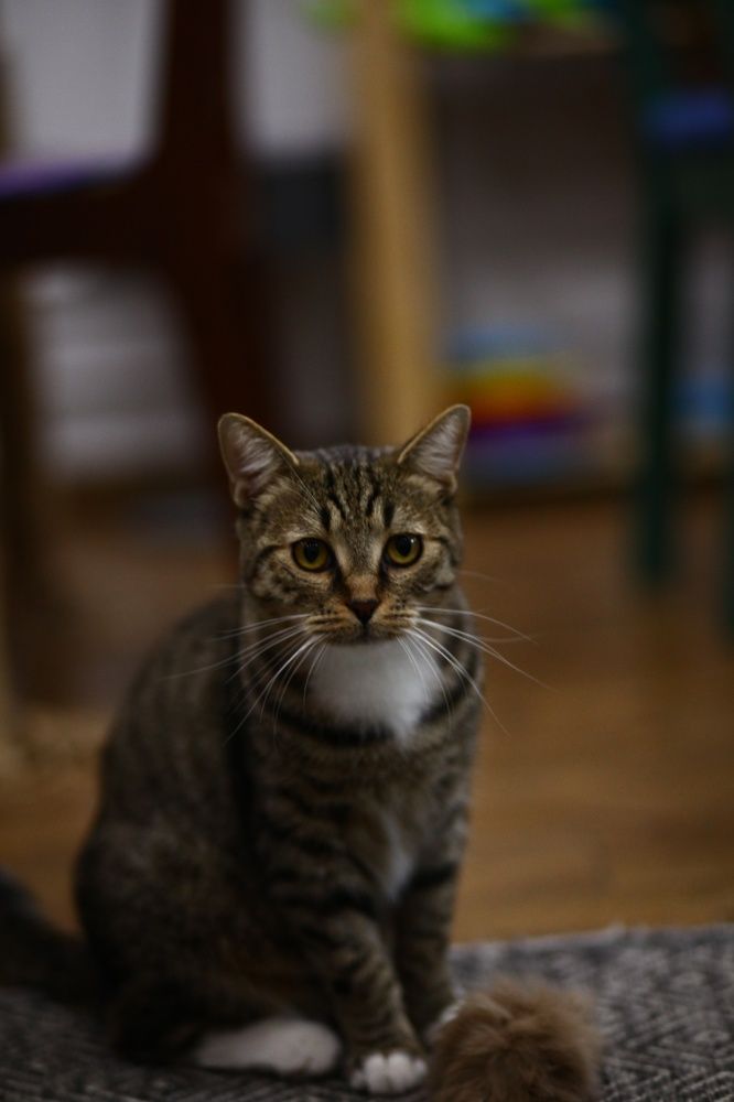 Photograph by Бальзирова Наталья