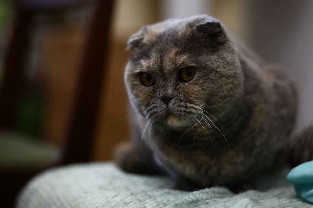 Photograph by Бальзирова Наталья