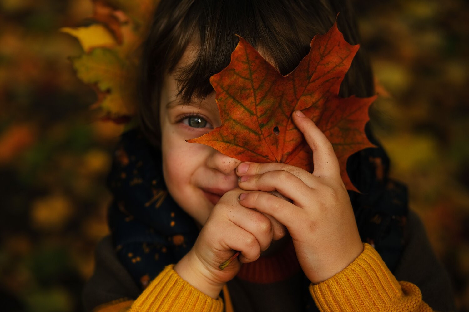Photo #8860466