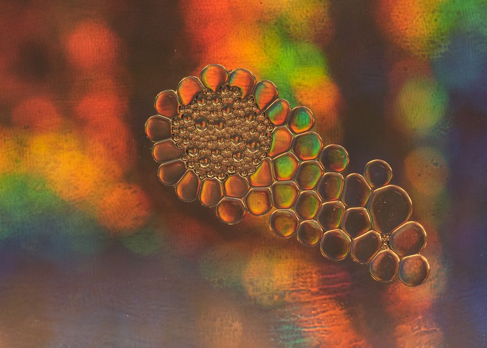 Photograph by Yağcı Mustafa