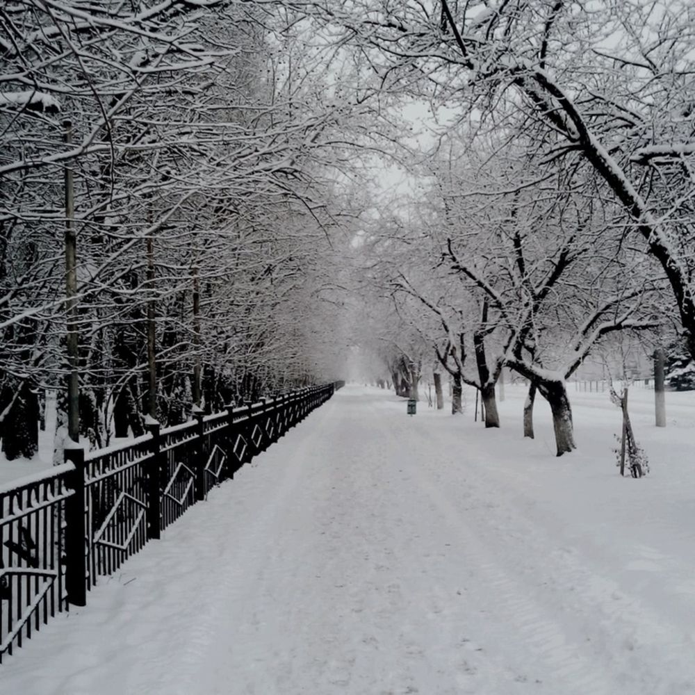 Photograph by Ирина Фатеева