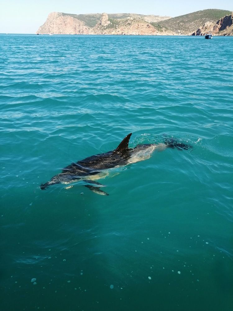 Photograph by Анна Стрельченко