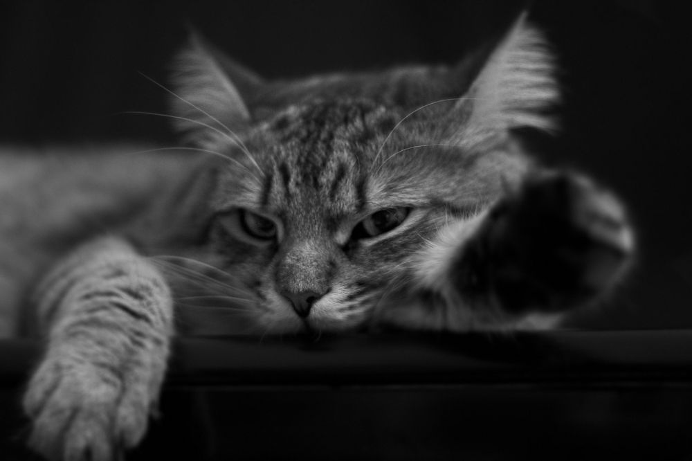 Photograph by Геннадий