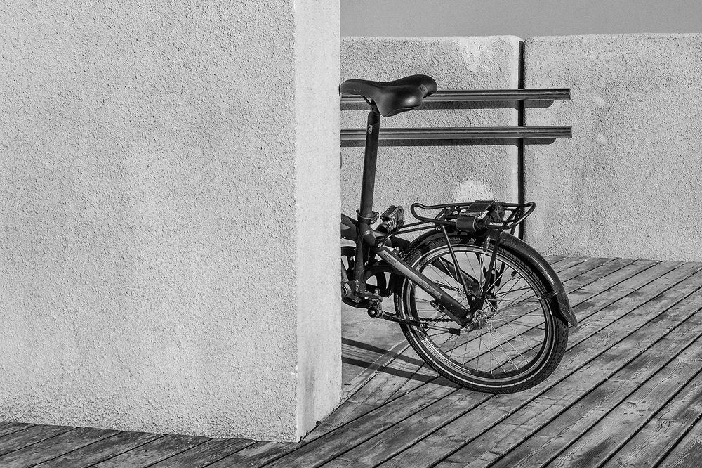 Photograph by Viktor Korotnev