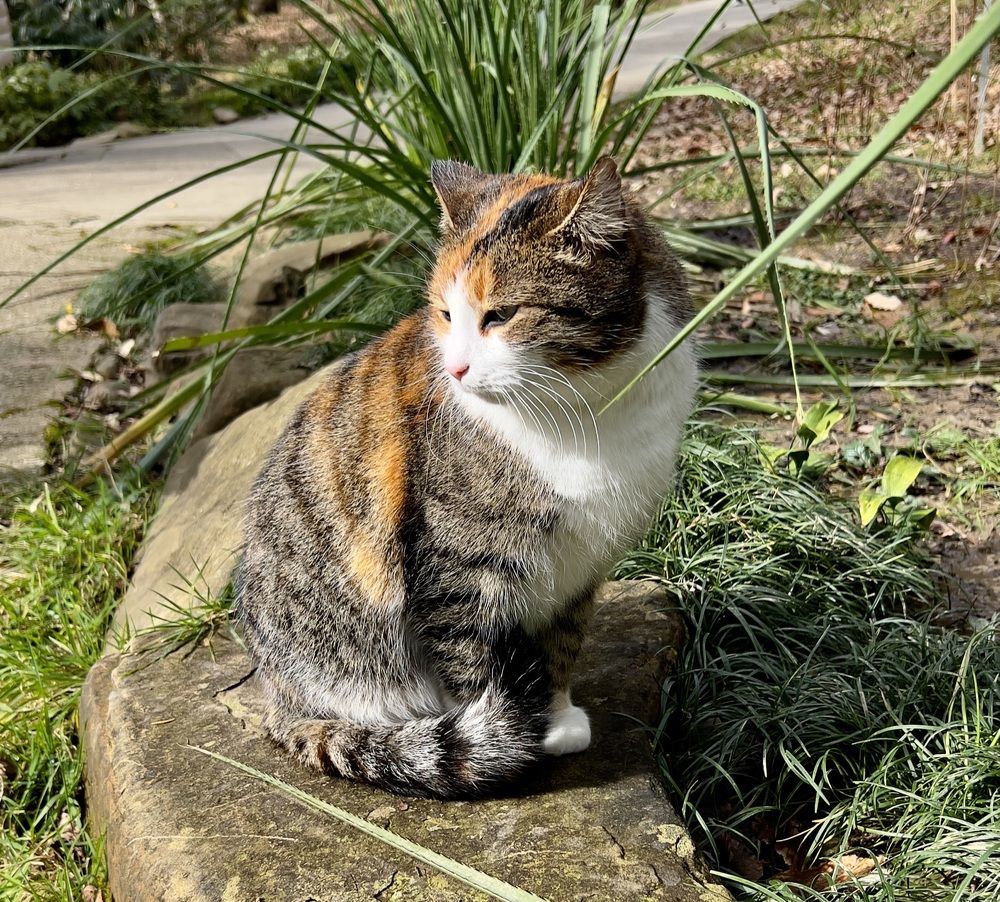 Photograph by Елена Мизина