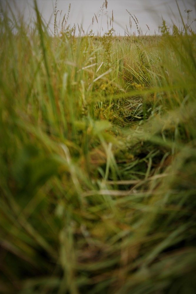 Photograph by Ирина Фатеева