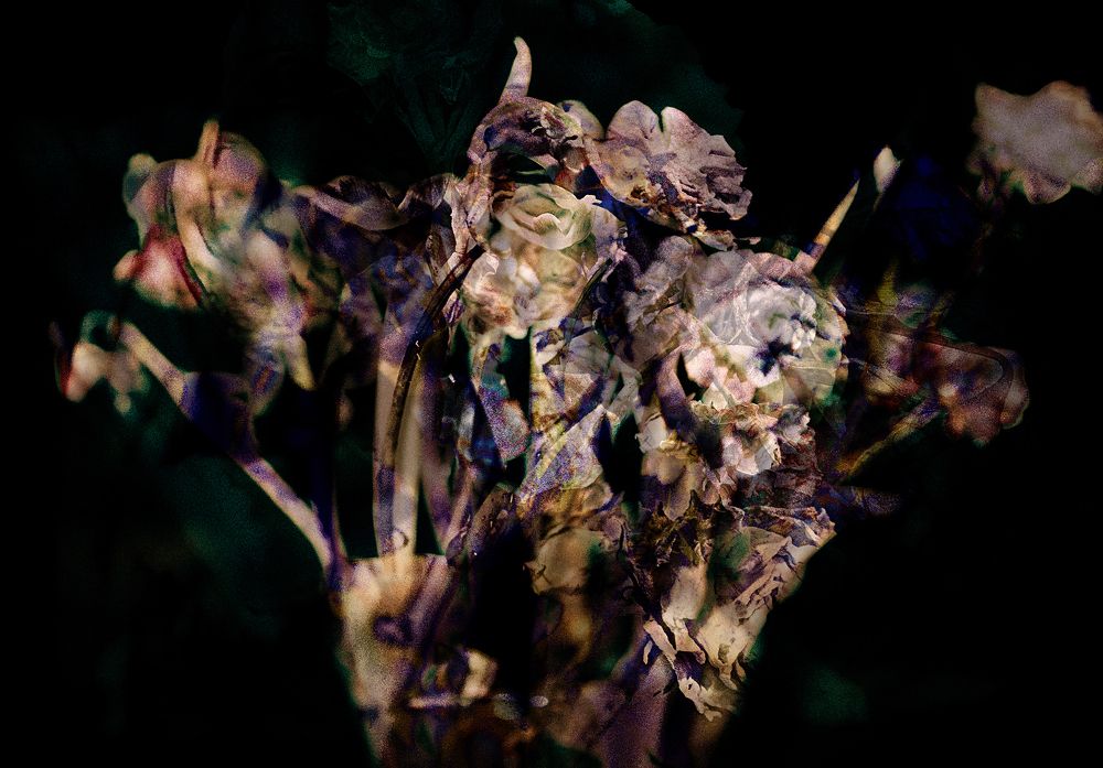 Photograph by Виталий Крестинин