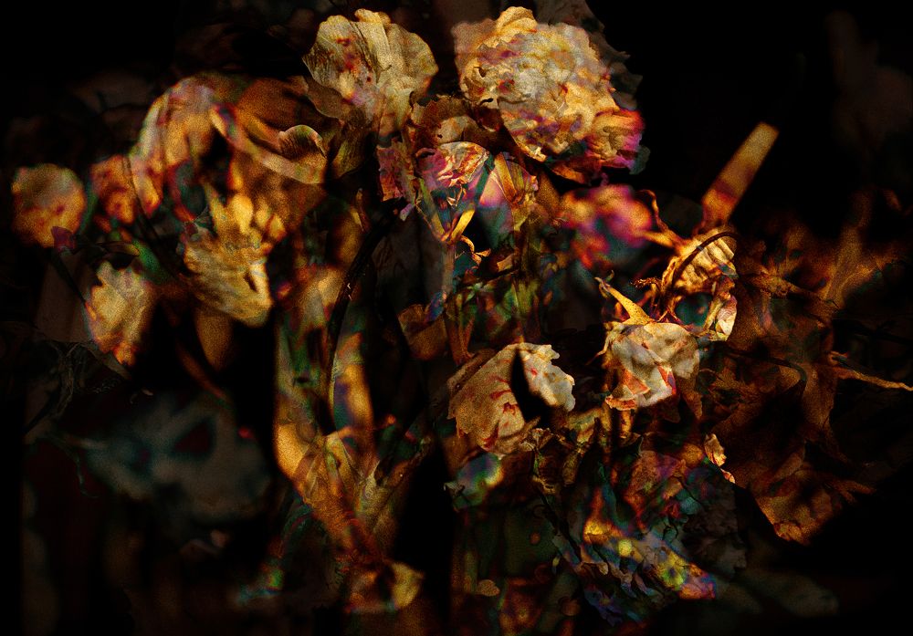 Photograph by Виталий Крестинин