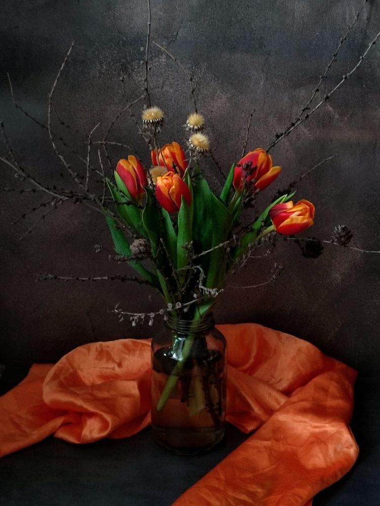 Photograph by Galina Novichkova