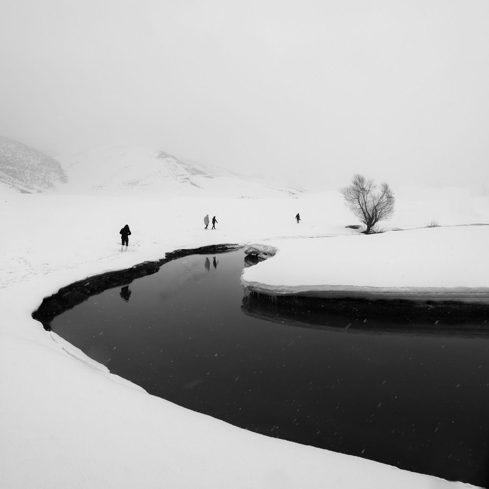 Фотография автора mohammad Alipour