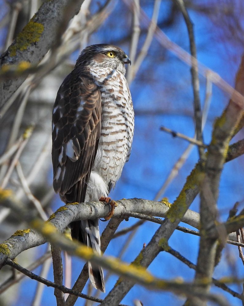 Photograph by Татьяна ТУРСКАЯ