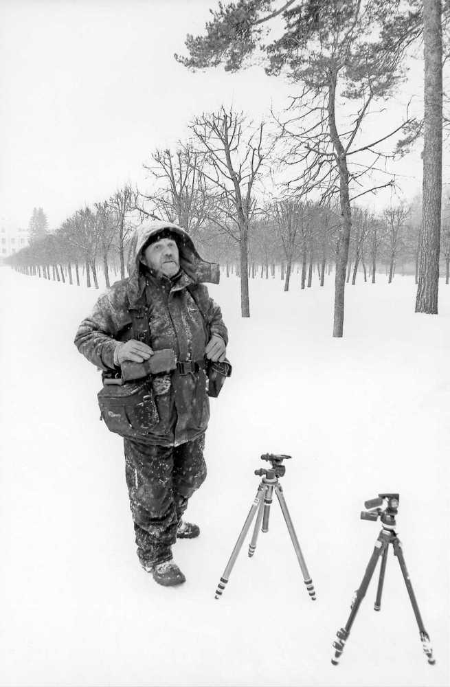 Снегопад в усадьбе