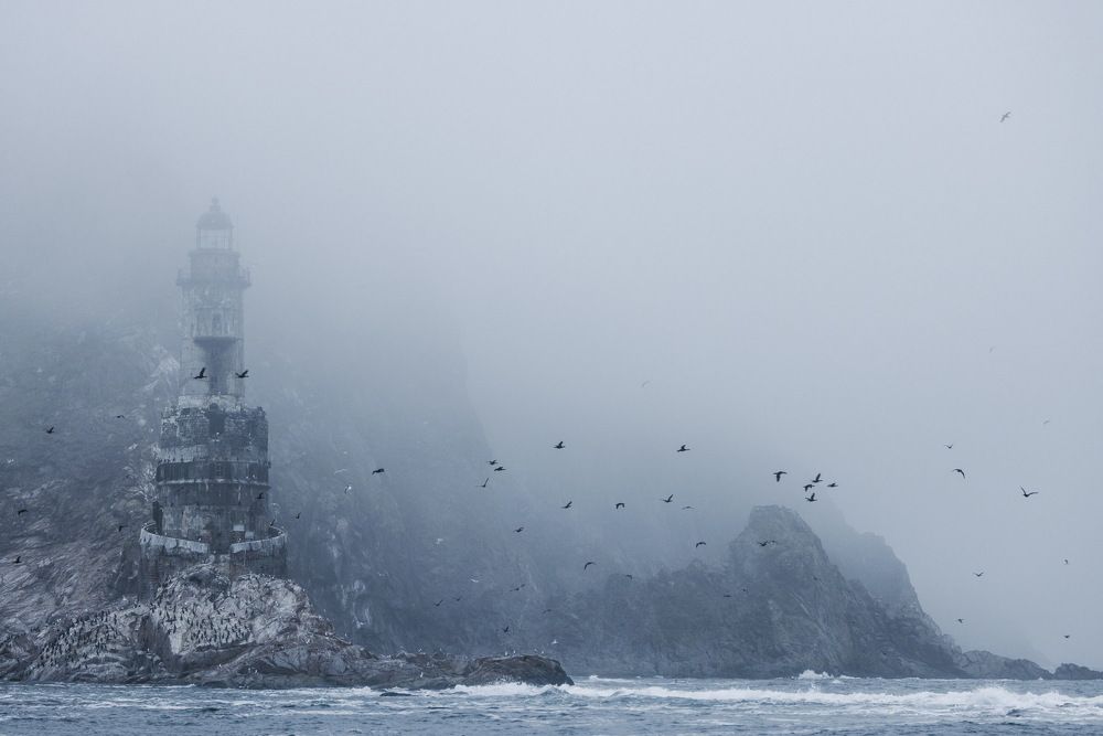 The White Witch sends her ravens