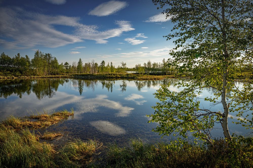 Photograph by Евгений Кужилев