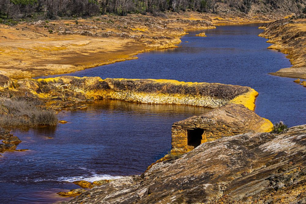 Photograph by Amelia Pardo