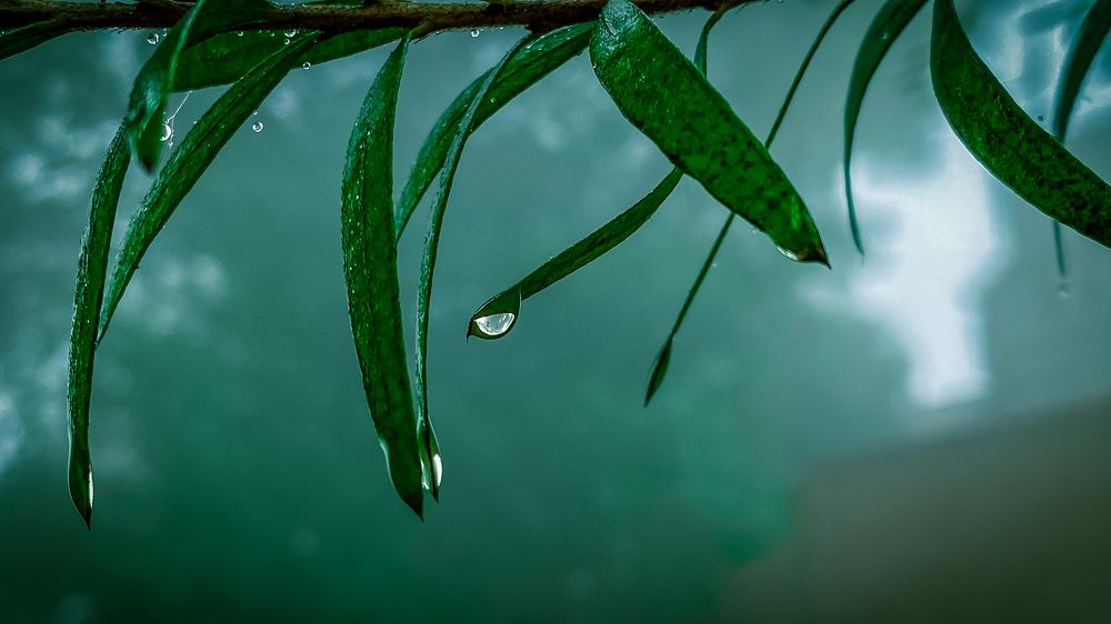 Photograph by Rao Zain