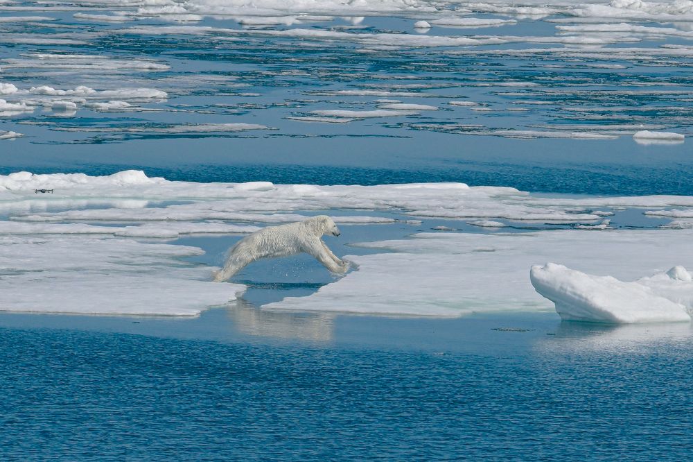 Photograph by Юлия