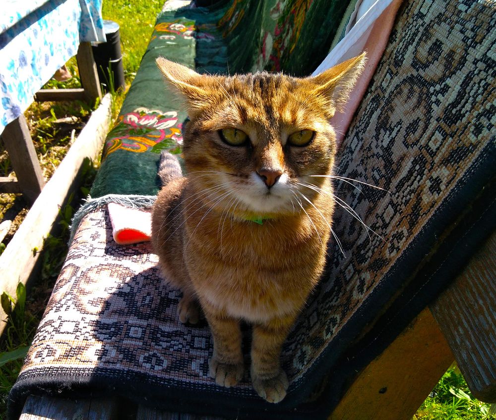 Photograph by Анатолий Миньков