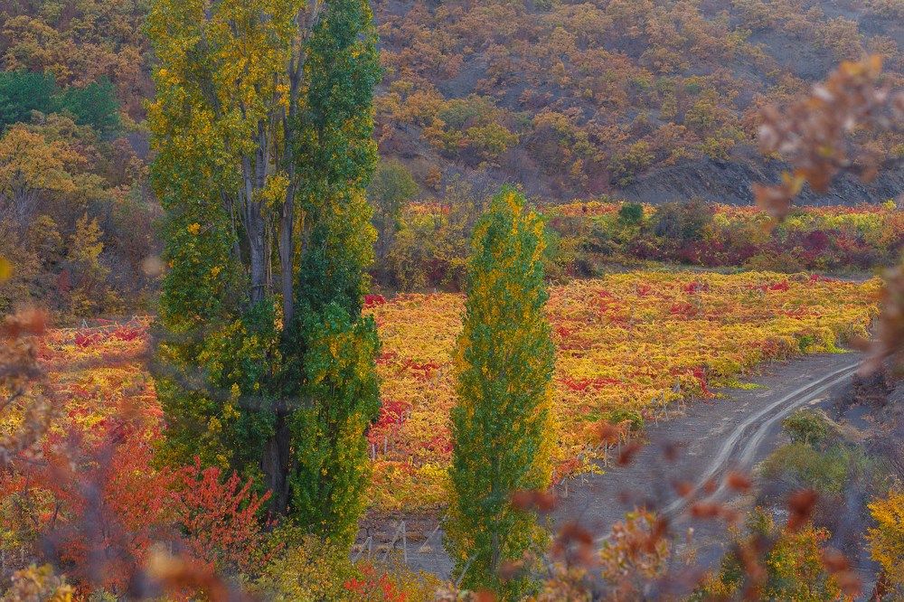 Photograph by Vladimir Soroka