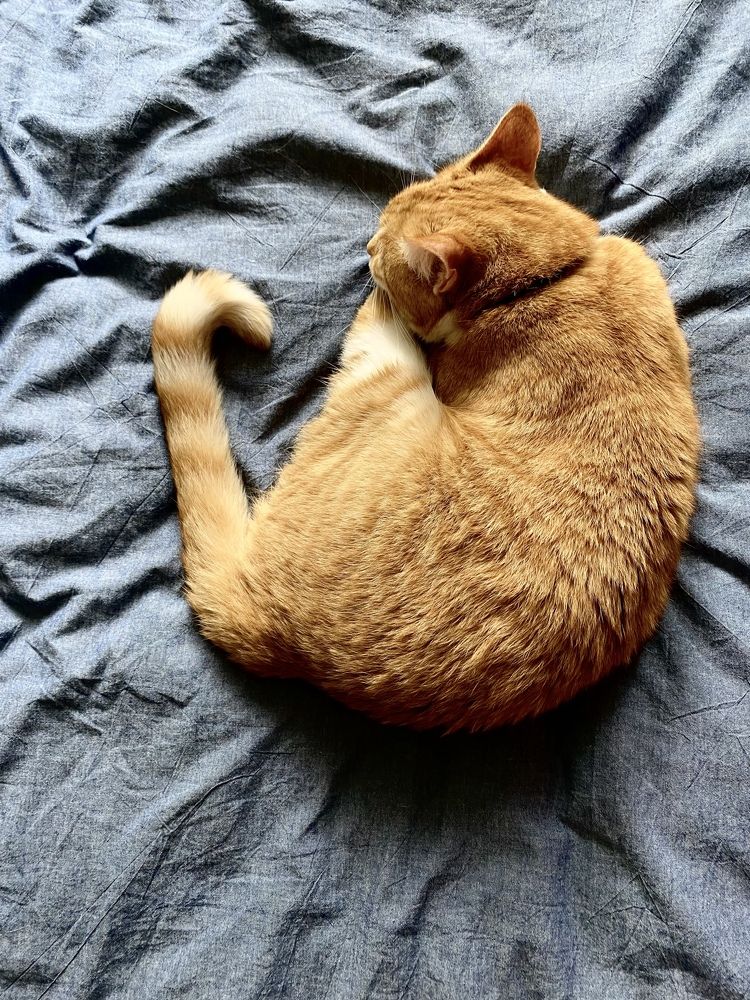 Photograph by Екатерина Балакина