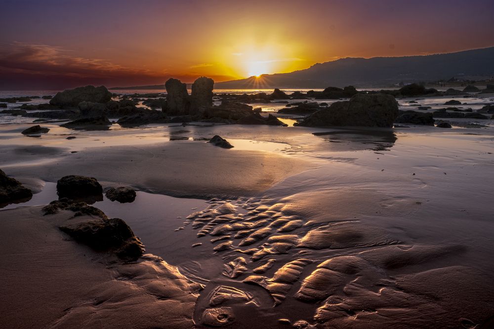 Photograph by Manuel