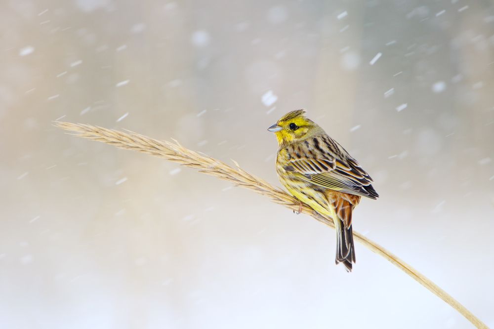 Photograph by Ковалевич А.