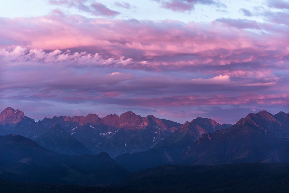 Photograph by Mirosława Susło-Wilczyńska