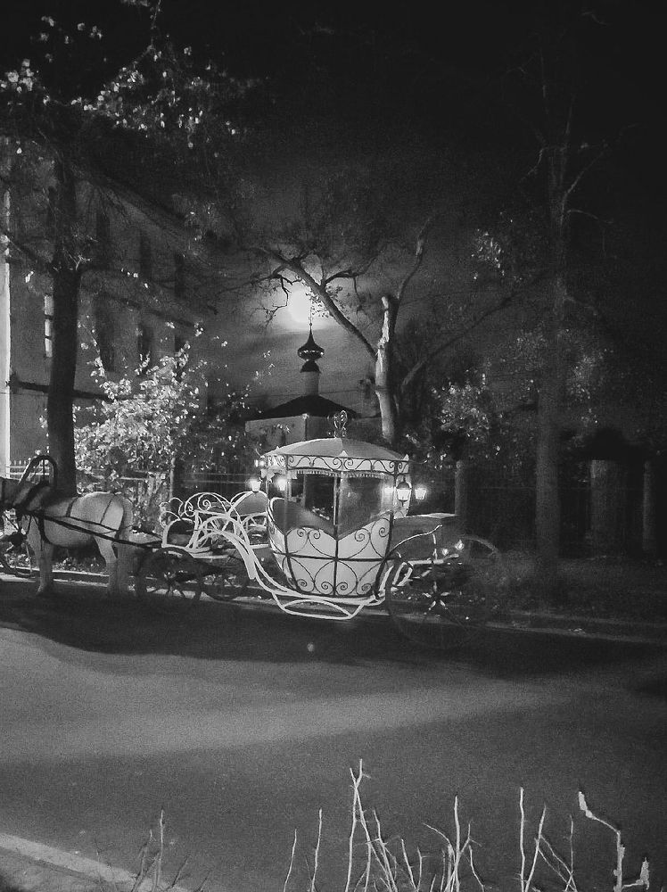 Photograph by Влад Сорокин