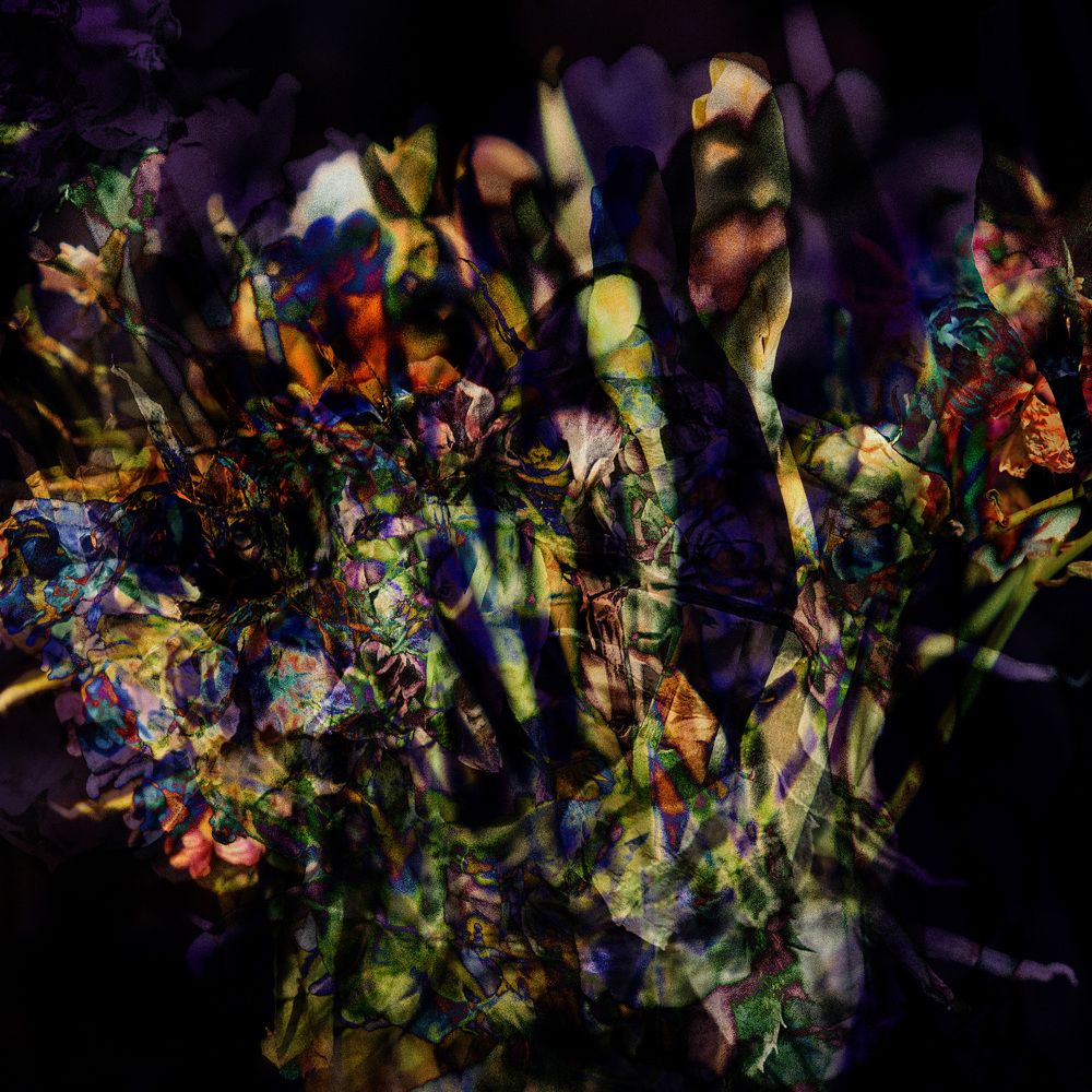 Photograph by Виталий Крестинин