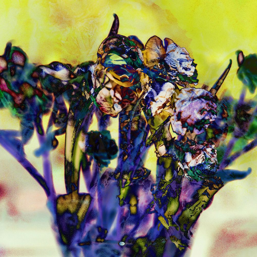 Photograph by Виталий Крестинин