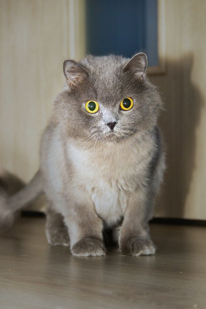 Фотография автора Вячеслав