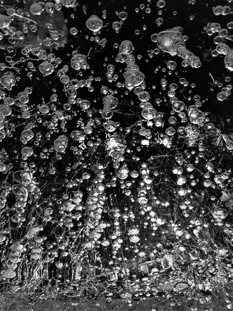 Photograph by Яна Галимуллина