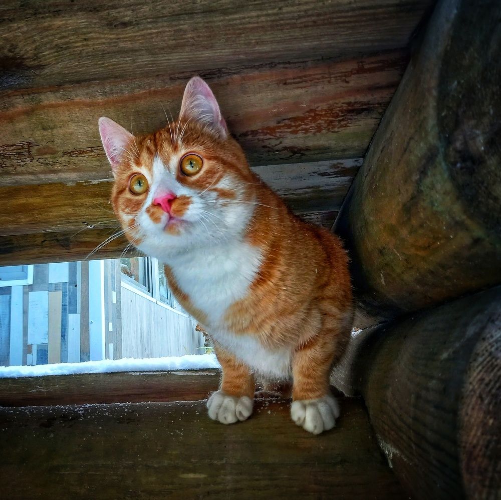 Фотография автора Вячеслав