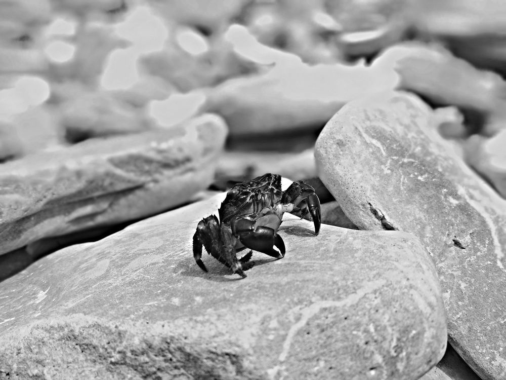 Photograph by Никита Розум