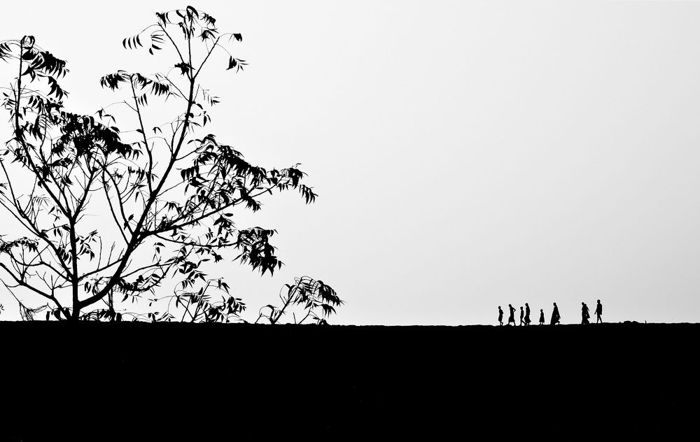 The Climate Refugees