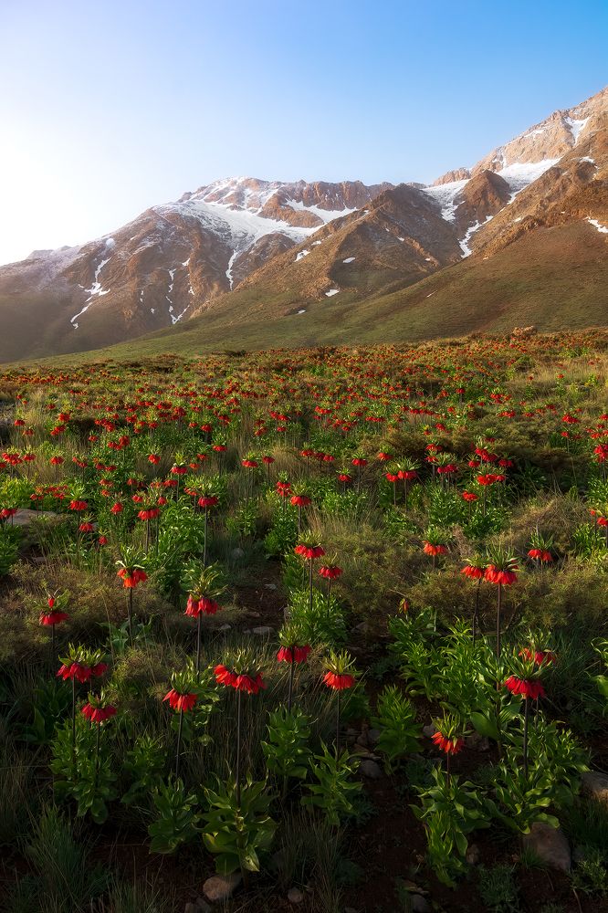 Photograph by sajjad saadat