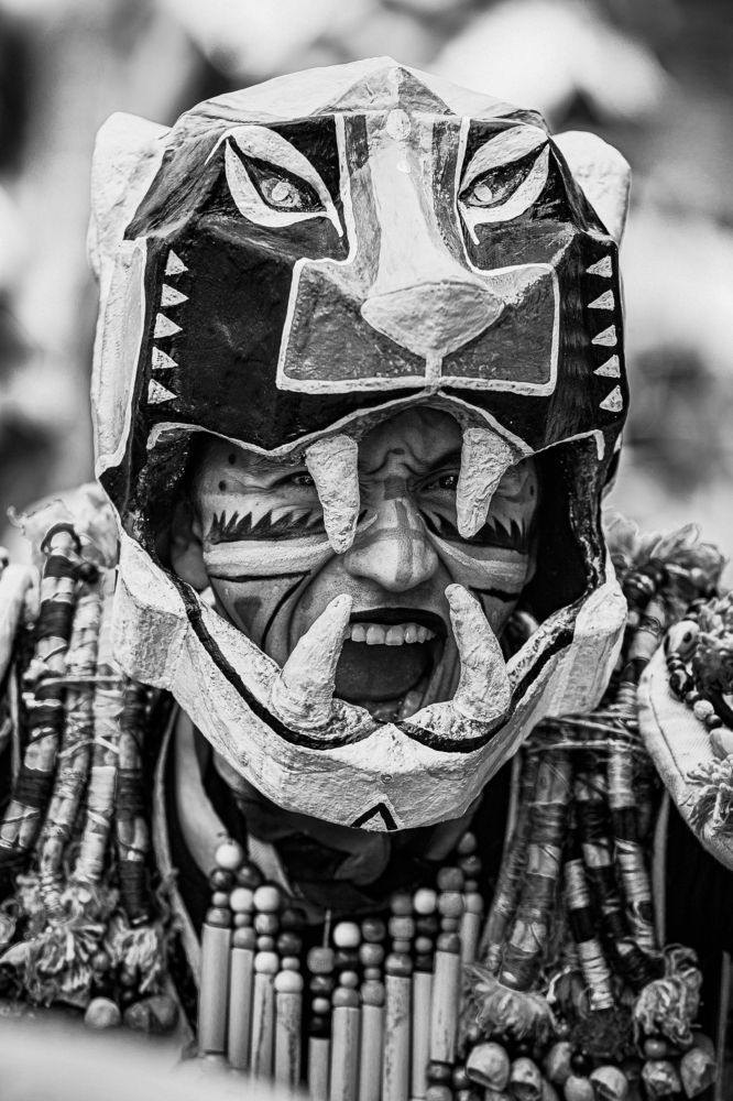 Photograph by Jeferson Hernández