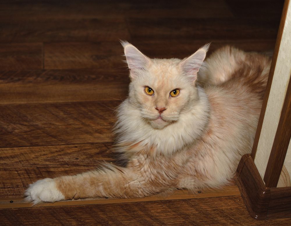 Photograph by Яна Афанасьева