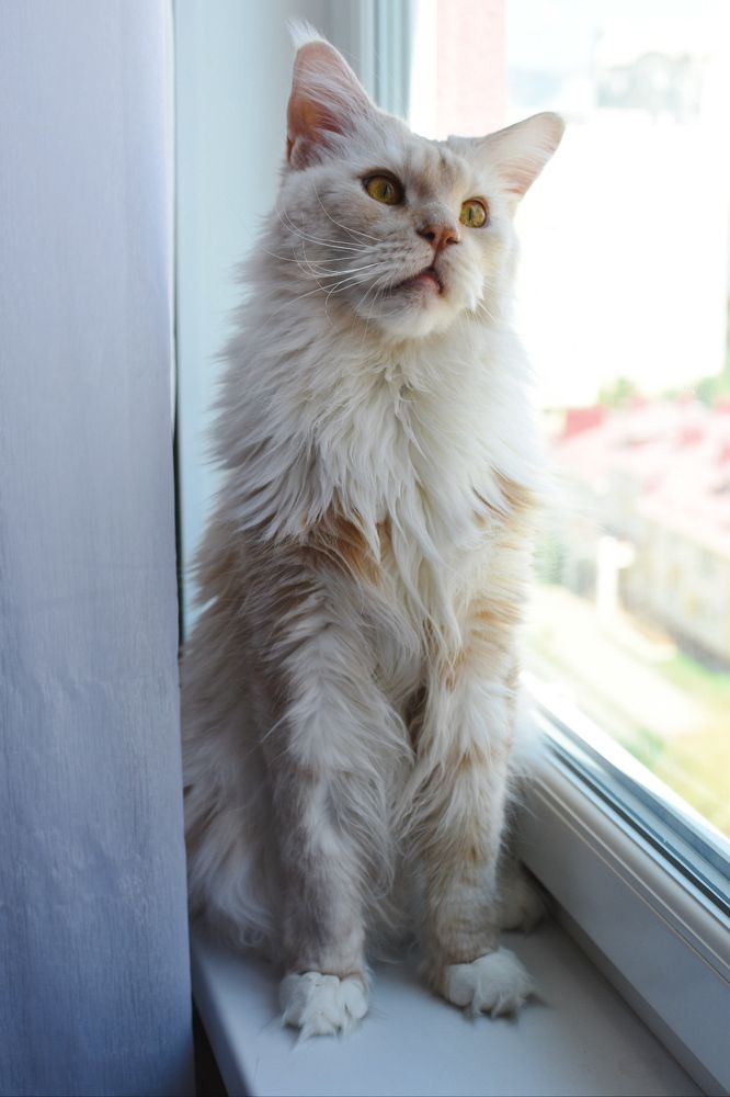 Photograph by Яна Афанасьева