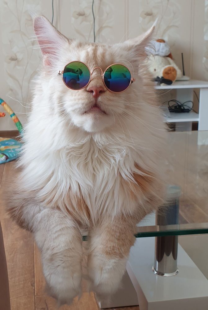 Photograph by Яна Афанасьева