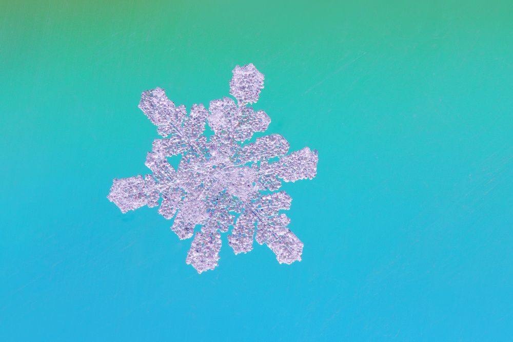 Photograph by Ковалевич А.