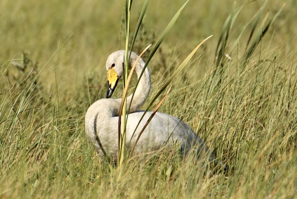 Photograph by Valdis Rapšs
