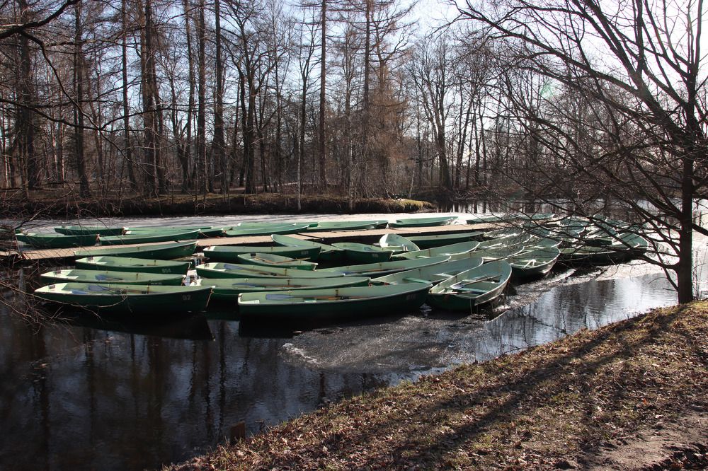 Photograph by Наталья Юденкова