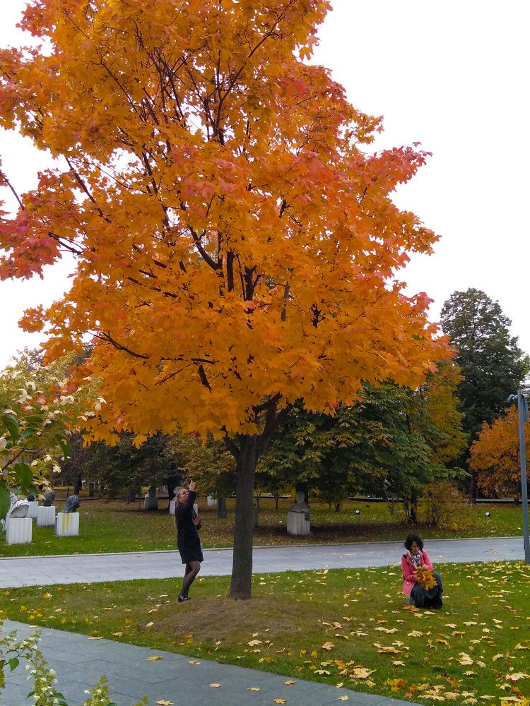 в осеннем парке