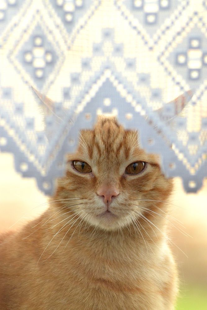 Photograph by Bob Gajdoš